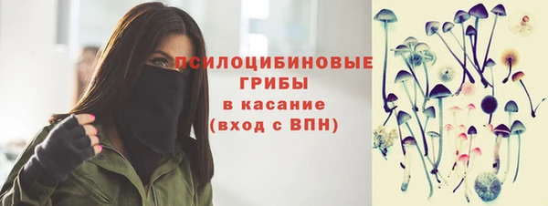 шишки Нея