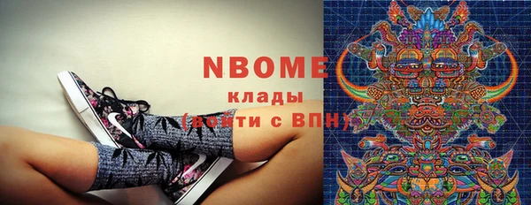 шишки Нея
