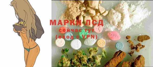 шишки Нея