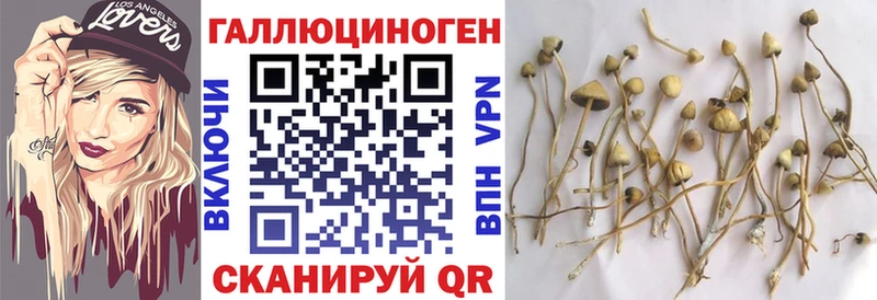 наркота  Реж  darknet телеграм  Галлюциногенные грибы Cubensis 