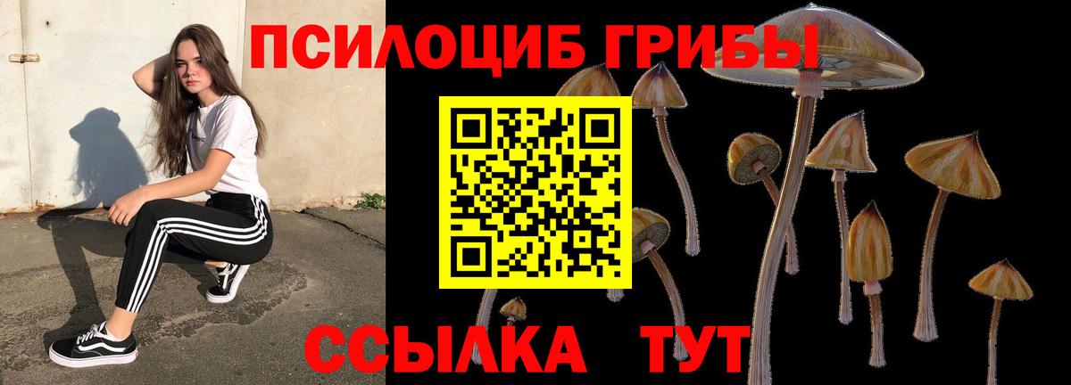 Галлюциногенные грибы Psilocybine cubensis  Вход с VPN  Реж  Псилоцибиновые грибы мухоморы 